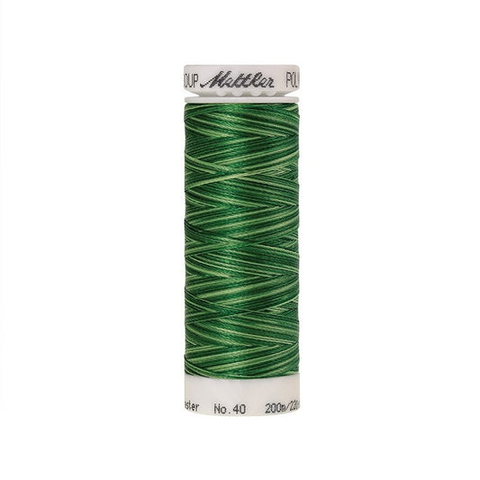 Spool of Mettler green variegated thread.