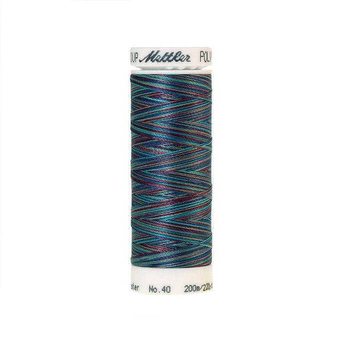 Spool of Mettler blue and purple variegated thread.