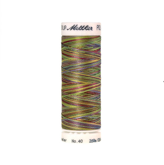 Spool of Mettler multi coloured variegated thread.